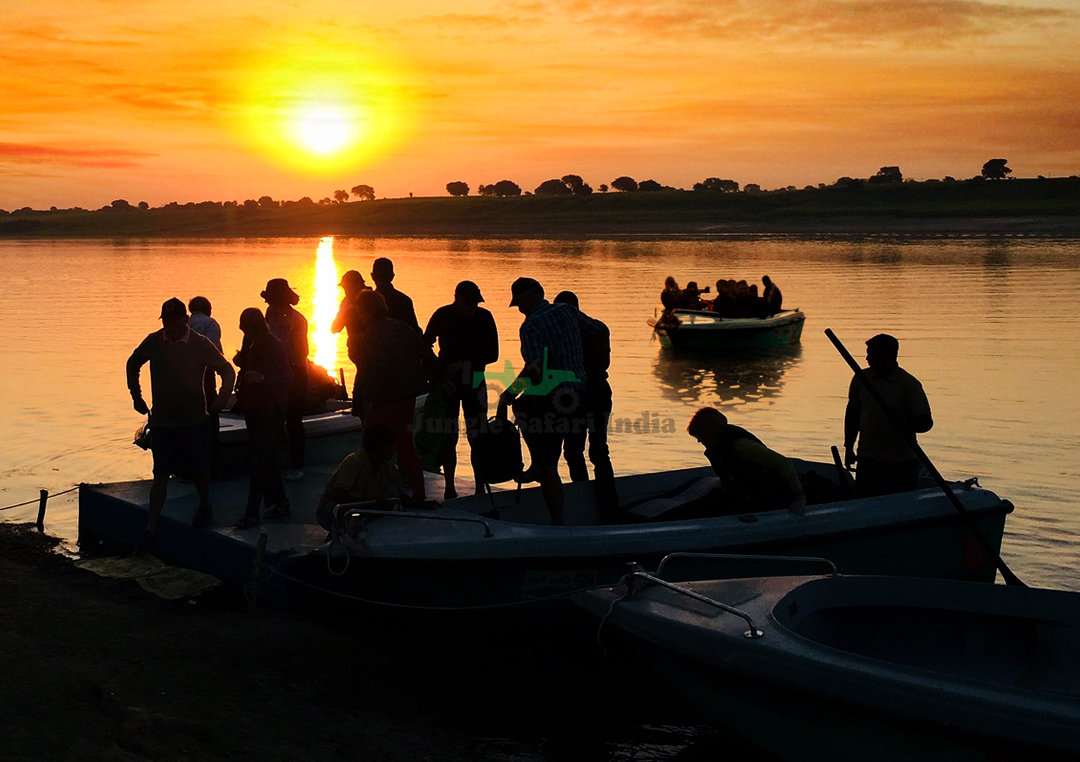 Chambal Safari Option 4